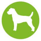 Dogs Dogs